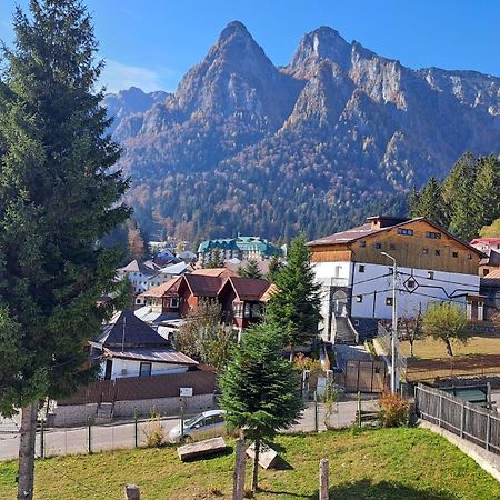 Vila Panoramic Buşteni Exteriör bild