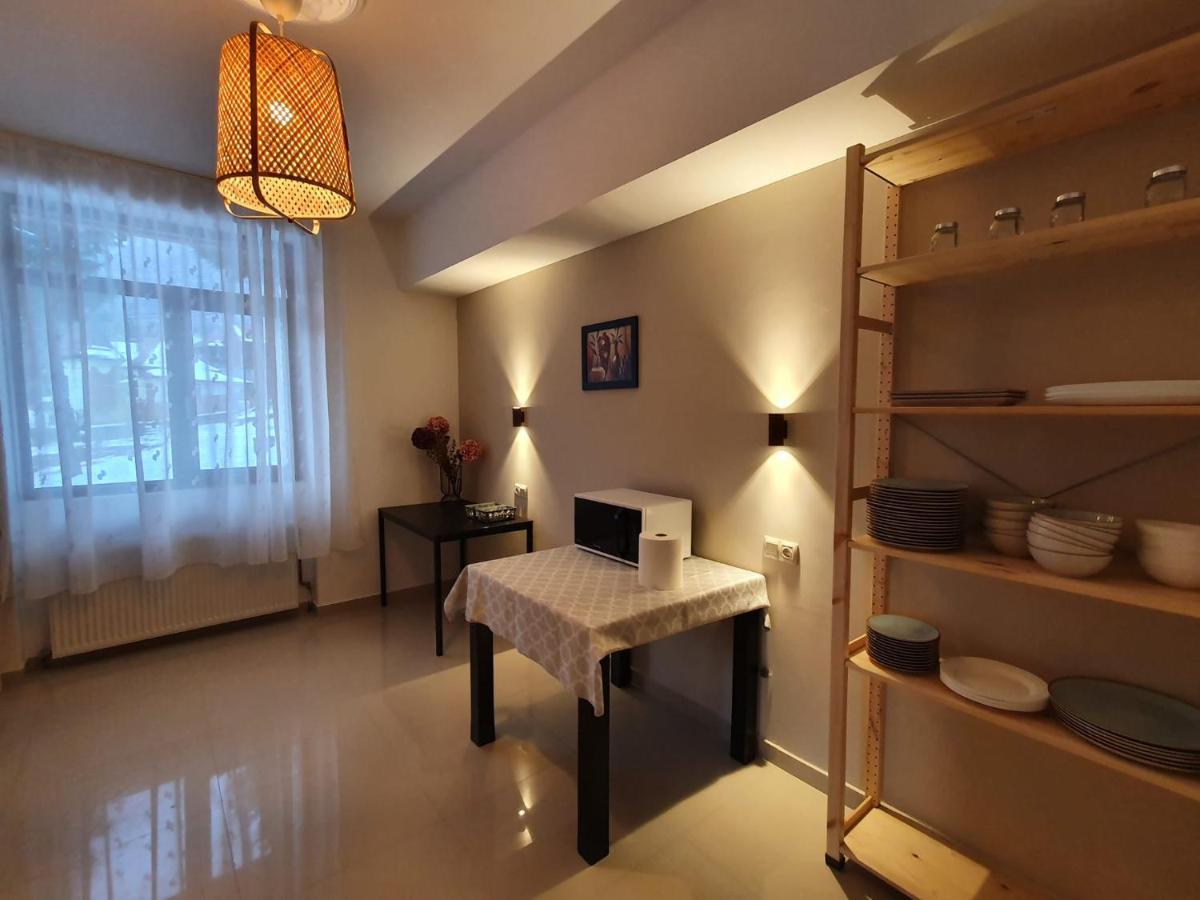 Vila Panoramic Buşteni Exteriör bild