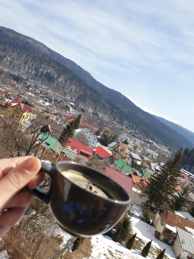 Vila Panoramic Buşteni Exteriör bild