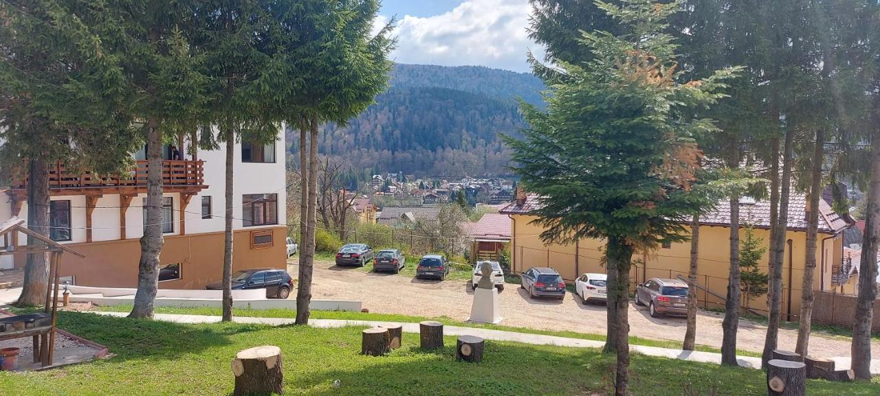 Vila Panoramic Buşteni Exteriör bild