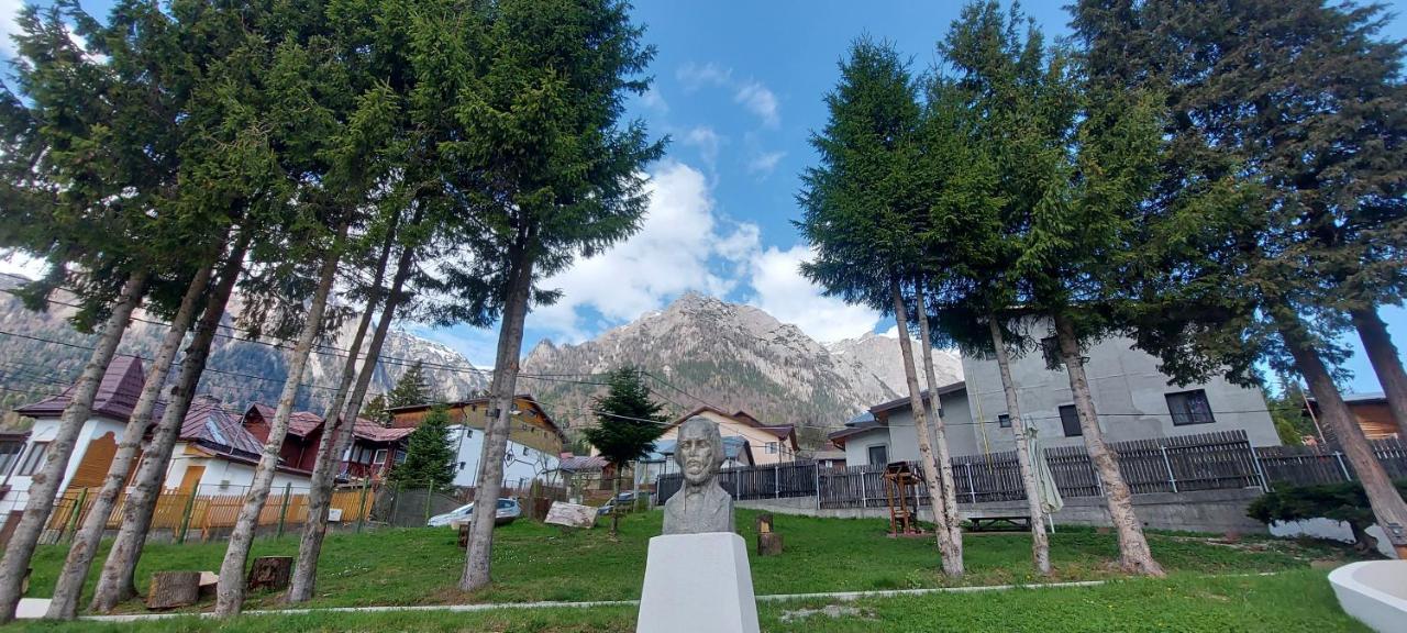 Vila Panoramic Buşteni Exteriör bild
