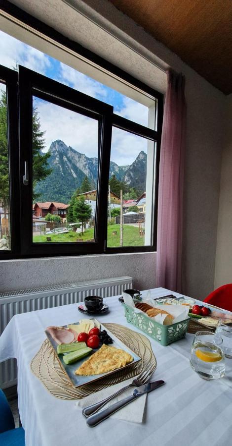Vila Panoramic Buşteni Exteriör bild